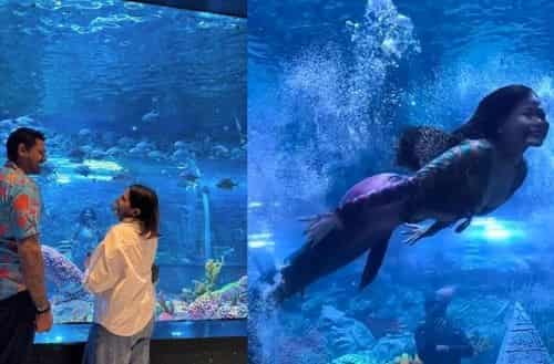 Aquarium Paradise